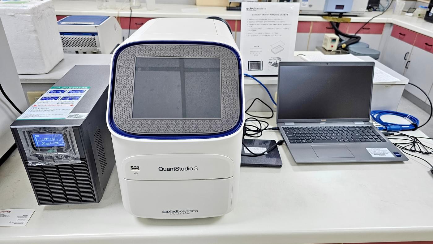 QuantStudio 3 Real-Time PCR System